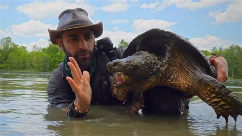 Coyote Peterson Brave The Wild Legendary Turtle Of Texas