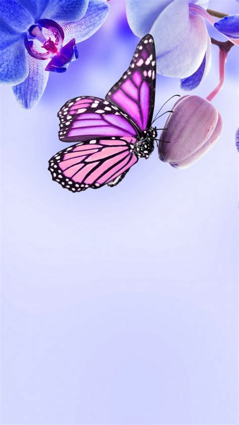 21 Android Wallpaper Purple Butterfly Bizt Wallpaper