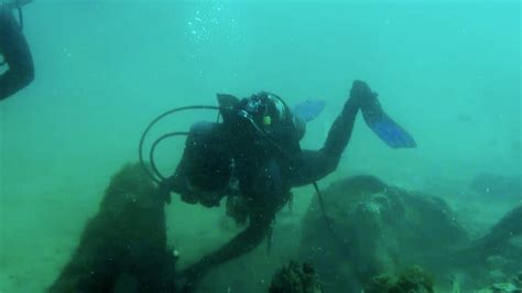 Scientists Study Ancient Underwater Forest The Weather Channel