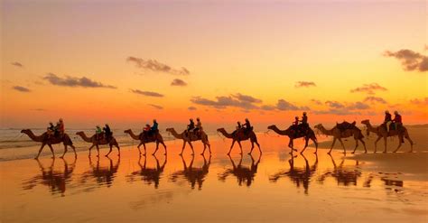 They were riding a camel and it looked very uncomfortable plus it must be hot sitting. Did you know you can ride camels in Australia ...