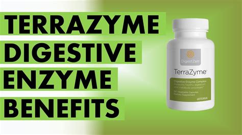 Terrific Terrazyme Digestive Enzyme Benefits And Uses Overview Youtube