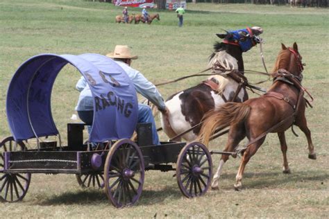 Pairadice Mules National Champion Chuckwagon Races Oklahoma Land Rush