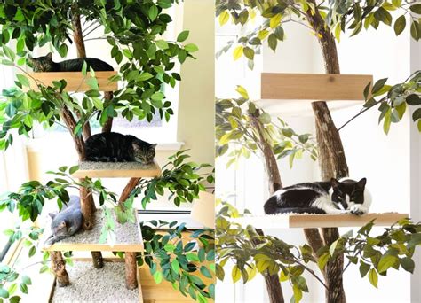 These are cat trees which are produced from all wood or a combination of wood and sisal rope, essentially cloud 9 cat trees was founded in 2007 by david harvey and is located in maple, ontario, canada. Ready-to-Assemble Real Wood Cat Tree Kits