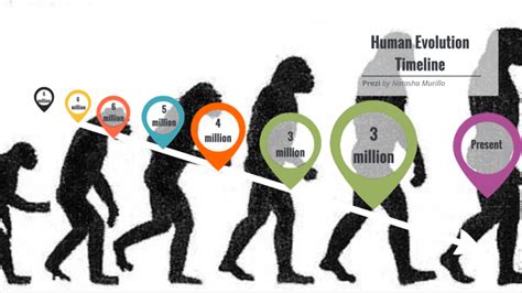 Human Evolution Timeline By Nata5530 Nata5530 On Prezi