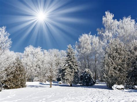 Image Winter Nature Seasons