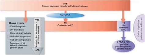 Pull Test Parkinson Parkinsons Disease Doctor Steve Abel