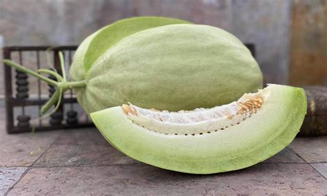 White Lanzhou Melon Seeds Of Diplomacy Baker Creek Heirloom Seeds