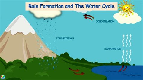 Water Cycle How Rain Is Formed Rain Formation And The Water Cycle