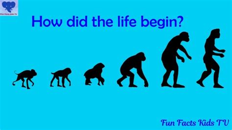 How Did Life Begin And Evolve Evolution For Kids Human Evolution