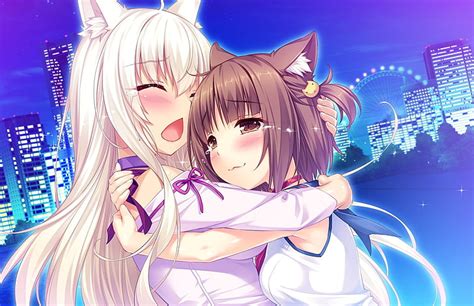 Hd Wallpaper Anime Nekopara Azuki Nekopara Cat Girl Wallpaper Flare