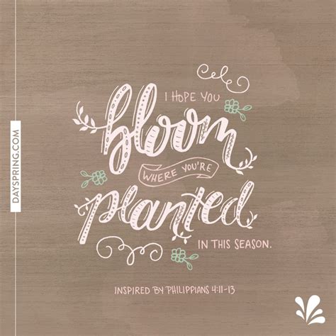 The usual significance of blasphemy in the epistles is not the use of swear words (1 tim 1:20. Bloom Where Planted | Bible quotes, Bloom quotes ...