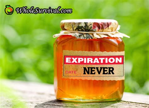 Dry dog foods, for instance, can be expected to have a shelf life that ranges from 4 months to three years. Foods That Never Expire Or Spoil