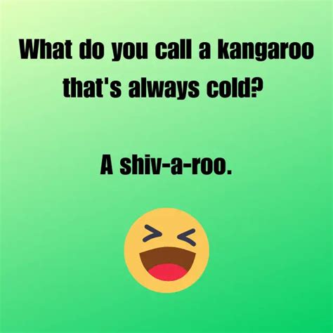 70 Kangaroo Jokes Puns And One Liners To Crack You Up 😀