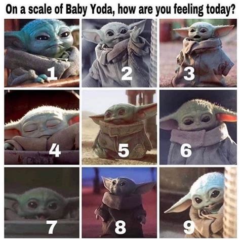 Star Wars Meme Yoda Meme Yoda Funny Stupid Funny Memes Funny Relatable Memes Hilarious