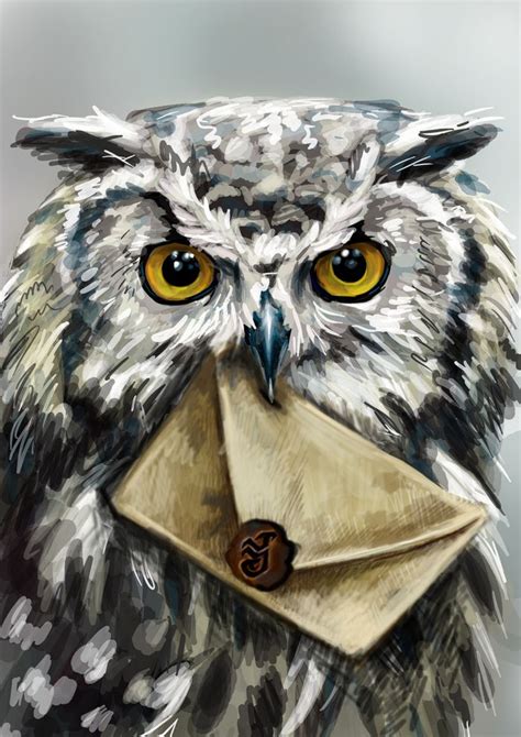 hogwarts owl  letter   harry potter canvas