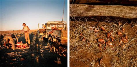 Balls And Bulldust The Raw 1980s Photos Of Cattle Stations That Time