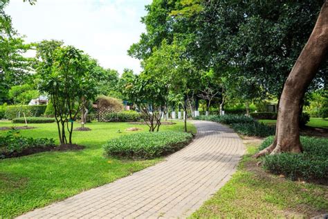 Walkway View Botanical Garden Stock Photo Image Of Queen Plantation