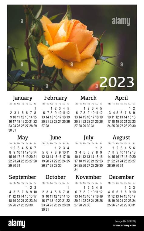 Imprimir Calendario 2023 Chile De Arbol Vs Cayenne Fruit Imagesee