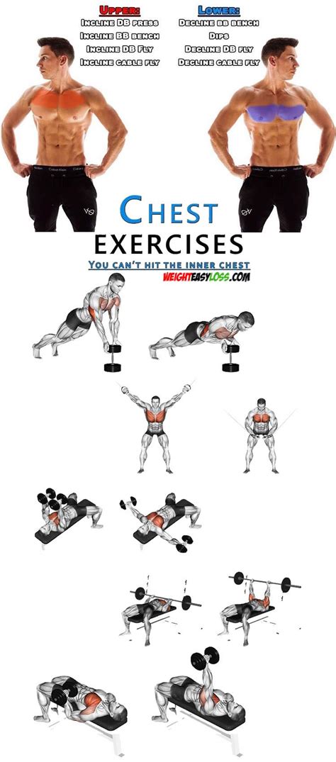How To Workout On Upper And Lower Chest