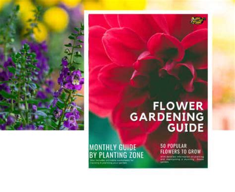 Monthly Organic Flower Garden Guide Kellogg Garden Organics