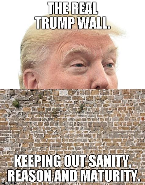 Trump Wall Imgflip