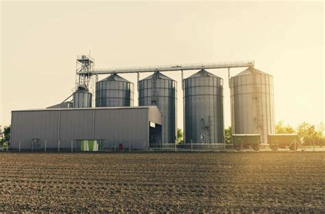 Moisture Optimization How To Safeguard Feed Quality And Feed Mill