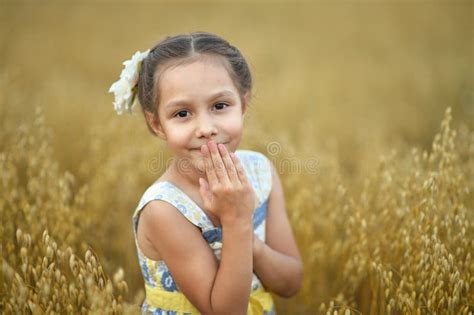 Little Girl In Wheat Field Stock Image Image Of Natural 61260545