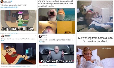 Corona Virus Cure Meme Site Title