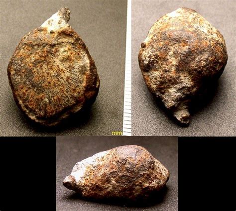 Iron Artifacts At 33gu218 In Ohio Indian Artifacts Native American