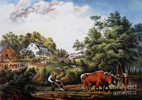 American Farm Scene 1853 Photograph By Granger Fine Art America