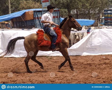 Cowboys Mounted On Quarter Horses Prepare For The Lasso Test On A Dirt