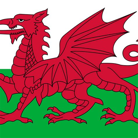 Willkommen im wales flaggen shop von flaggenplatz. Flag of Wales gbwls Flag Download