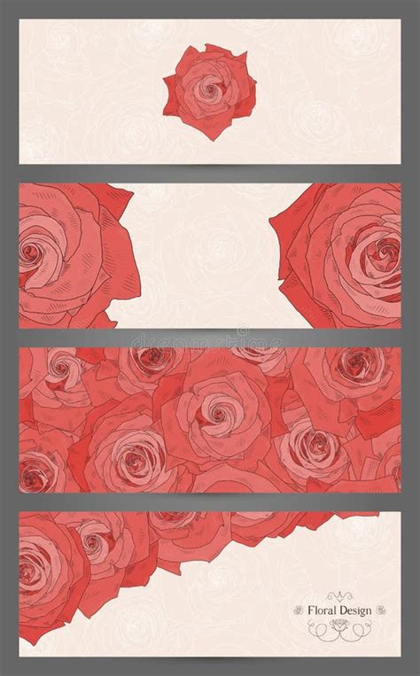 Banners With Beautiful Roses Stock Vector Illustration Of Blooming