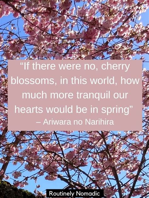 170 Blooming Cherry Blossom Quotes Routinely Nomadic
