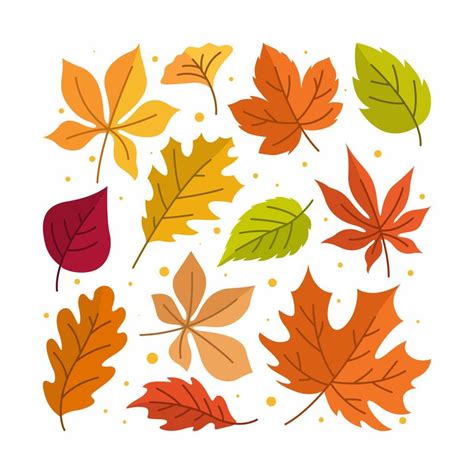 Fall Autumn Leaves Icon Creative Layout 8865973 Vector Art At Vecteezy