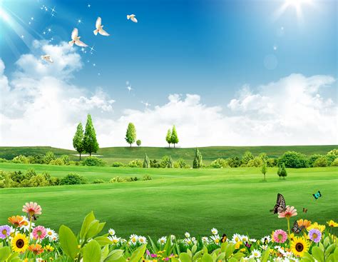 Blue Sky Green Grass Background Flowers Meadow Trees Background