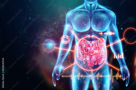 A Holographic Projection Of A Red Irritable Bowel Scan With Medical