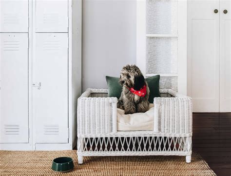 This hanging chair from beautiful mess is genius! Doggie Bed by Byron Bay Hanging Chairs | Wicker dog bed ...