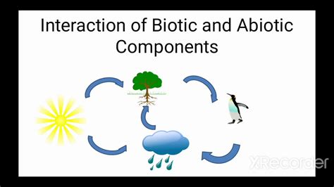 Biotic And Abiotic Components I Environment And Ecosystem I