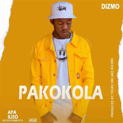 Dizmo Pakokola Zambian Music Blog