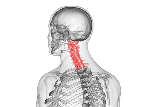 What You Need To Know About Upper Cervical Pain And How A Blair
