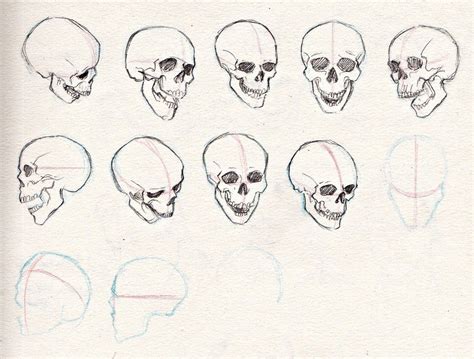 Practice Sketches Skull Angles By Kerlasia Sketches Skull Drawing