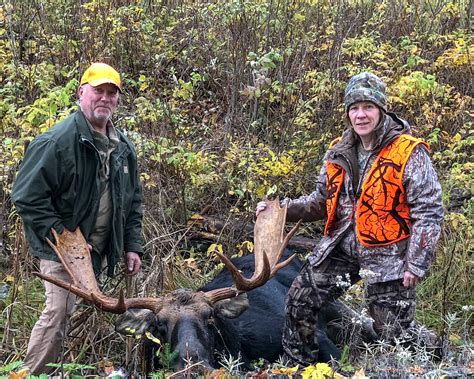 Guided Moose Hunting Trips In Maine Wmd 1 2 3 4 And 5 Allagash