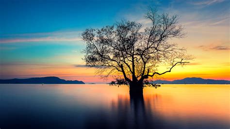 Wallpaper Nature Landscape Trees Lake Mountains Clouds Sky