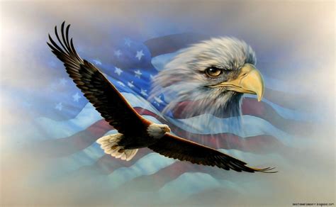 American Flag Eagle Best Hd Wallpapers