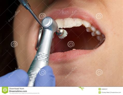 Professional Dental Brushing Stock Image Image Of Doctor Adult 30885357