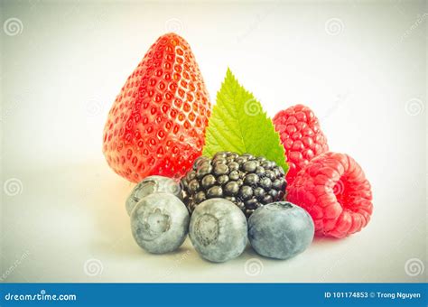 Studio Shot Mixed Berries Isolated On White Stock Image Image Of
