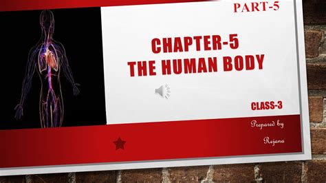 The Human Body Class 3 Chapter 5 Part 5 Science Cbse Ncert Youtube