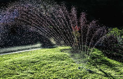 Check spelling or type a new query. Watering Grass at Night: Is it possible? - Sumo Gardener