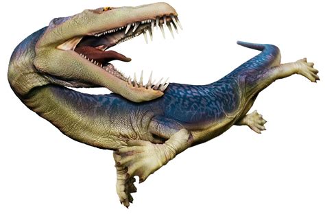 Nothosaurus Dinopedia Fandom